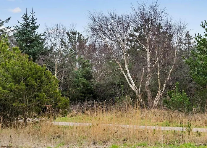 20356-ulfborg-lars-murersvej-9 Prázdninový dům Ulfborg